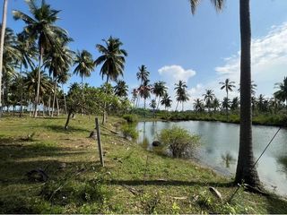 For sale land in Sichon, Nakhon Si Thammarat
