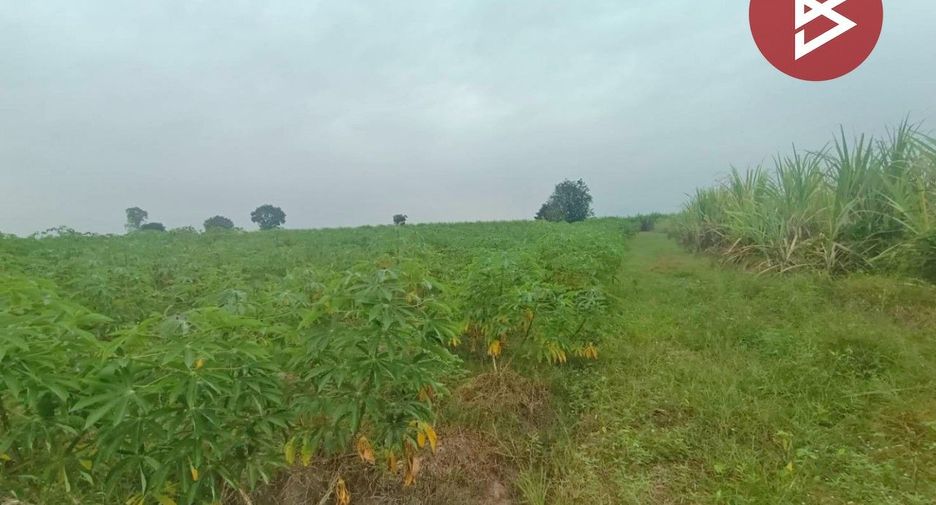 For sale land in Suan Phueng, Ratchaburi