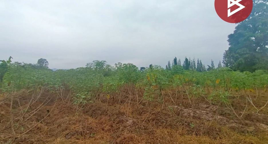 For sale land in Suan Phueng, Ratchaburi