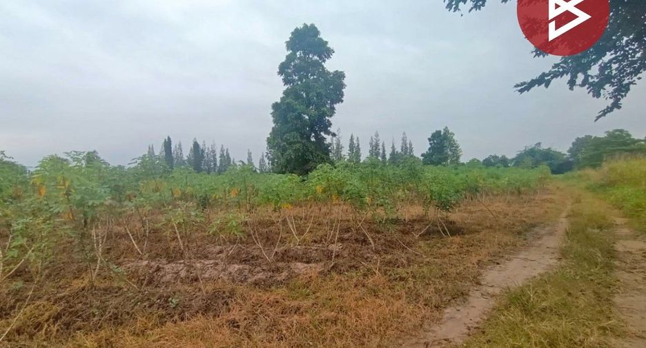 For sale land in Suan Phueng, Ratchaburi