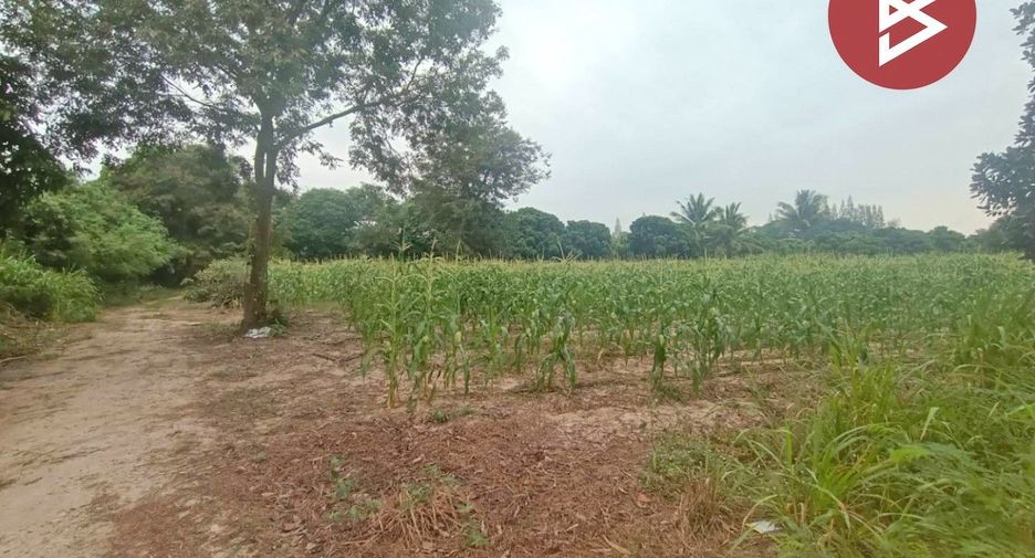 For sale land in Suan Phueng, Ratchaburi