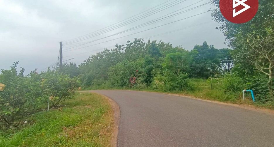 For sale land in Suan Phueng, Ratchaburi