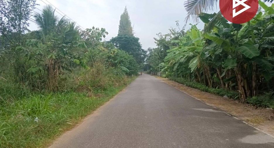 For sale land in Suan Phueng, Ratchaburi