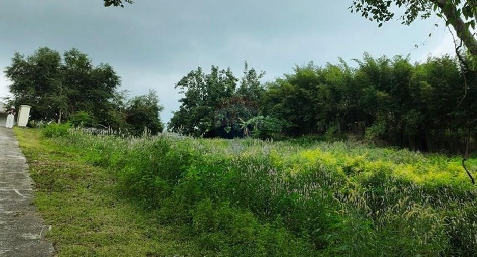 For sale land in Ko Samui, Surat Thani