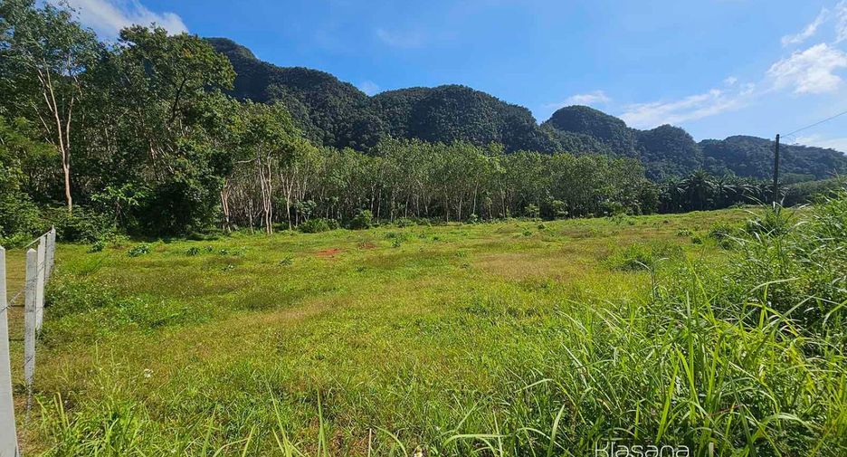 Grundstück zum Kauf in Mueang Krabi, Krabi