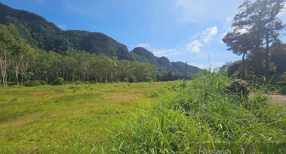 Grundstück zum Kauf in Mueang Krabi, Krabi