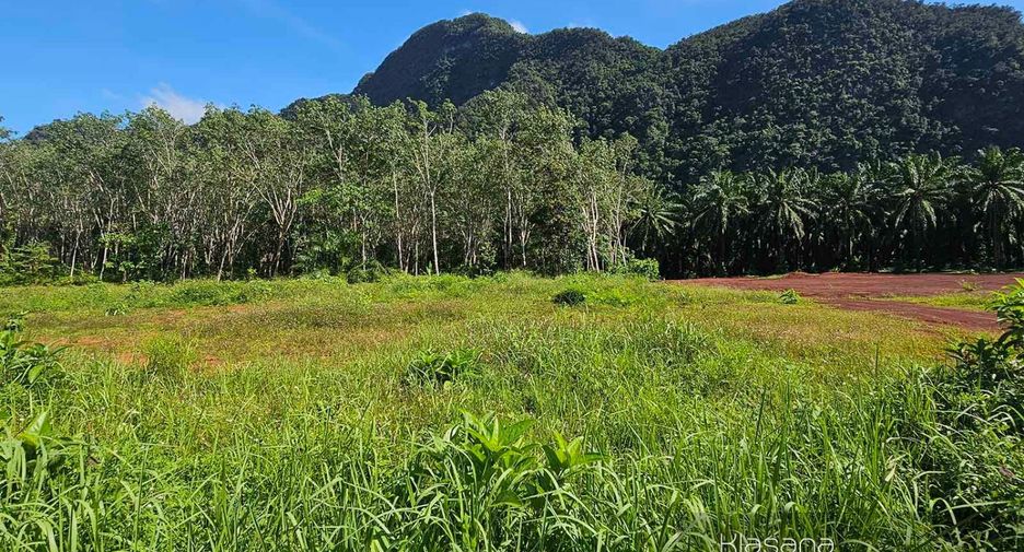 Grundstück zum Kauf in Mueang Krabi, Krabi