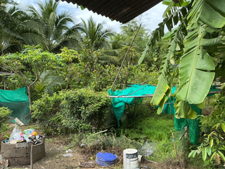 For sale land in Cha Am, Phetchaburi