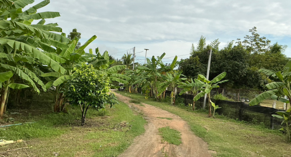 For sale land in Cha Am, Phetchaburi