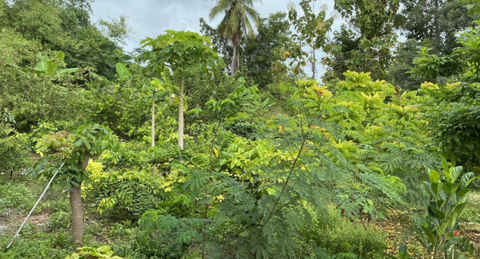 For sale land in Cha Am, Phetchaburi