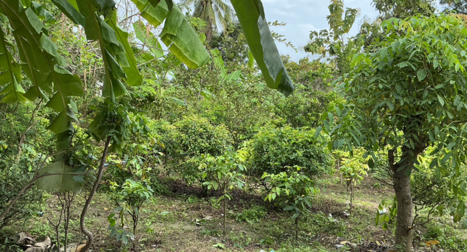 For sale land in Cha Am, Phetchaburi