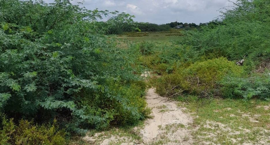 ขาย ที่ดิน ใน เมืองเพชรบุรี, เพชรบุรี