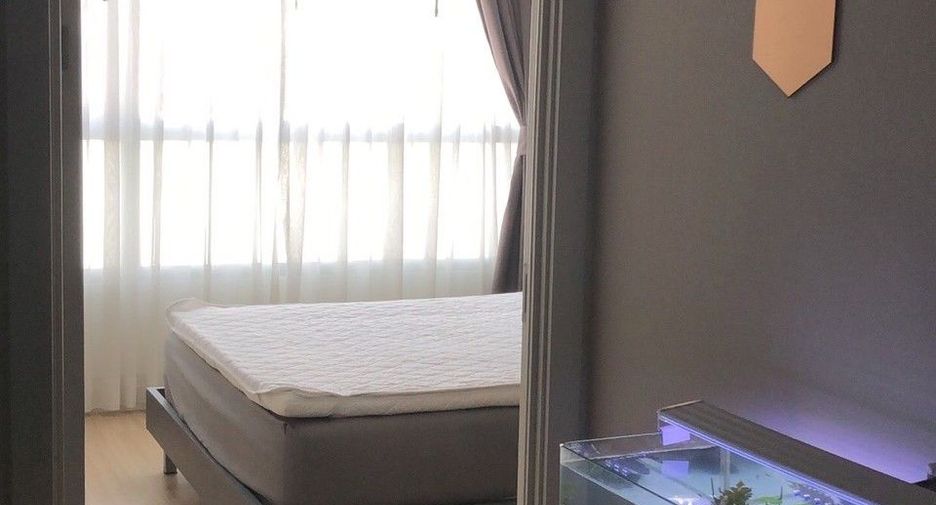 Продажа студия кондо в Пхра Кханонг, Бангкок