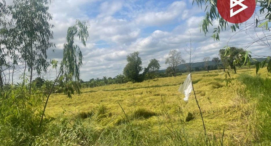 Grundstück zum Kauf in Prakhon Chai, Buriram