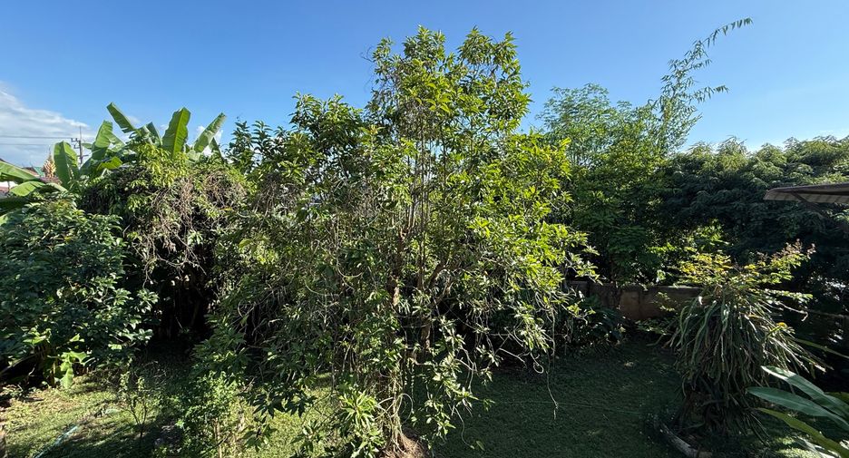 For sale 7 bedrooms house in Mae Rim, Chiang Mai