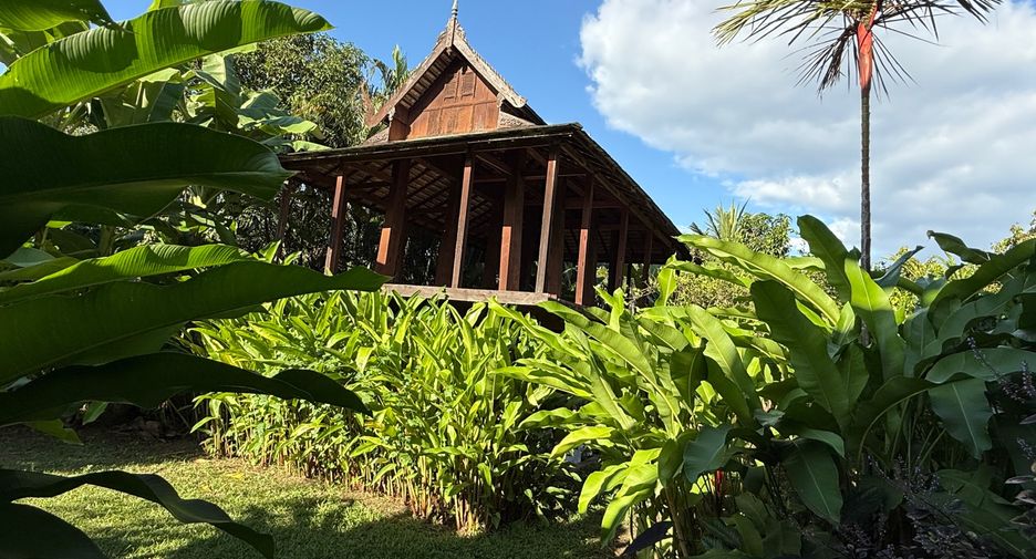 For sale 7 bedrooms house in Mae Rim, Chiang Mai