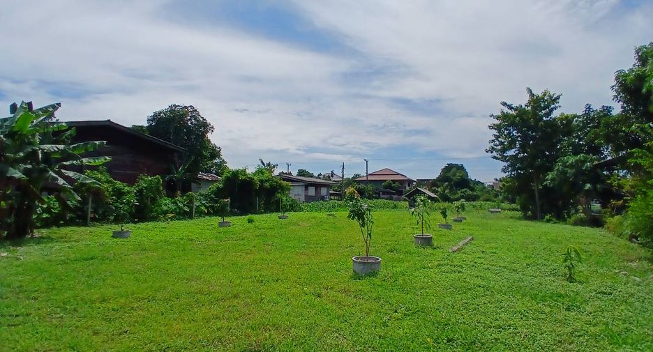ให้เช่า ที่ดิน ใน เมืองนนทบุรี, นนทบุรี