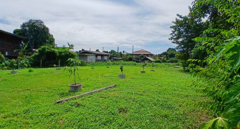 ให้เช่า ที่ดิน ใน เมืองนนทบุรี, นนทบุรี