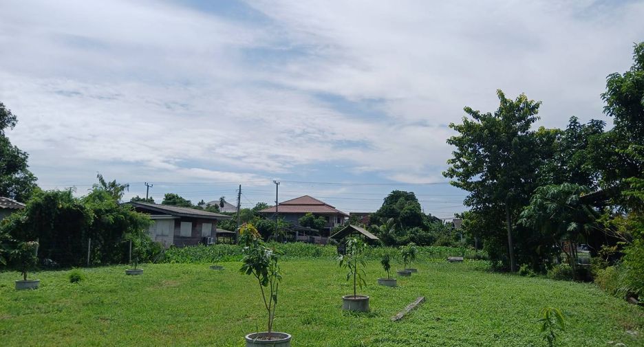 ให้เช่า ที่ดิน ใน เมืองนนทบุรี, นนทบุรี