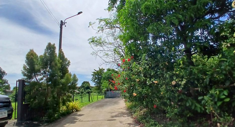 ให้เช่า ที่ดิน ใน เมืองนนทบุรี, นนทบุรี