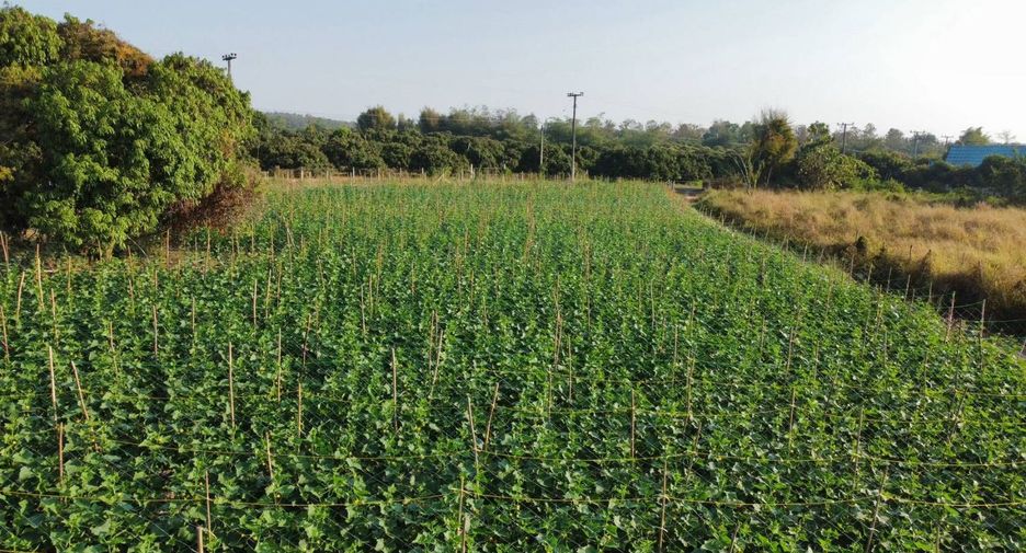 For sale land in Mae Wang, Chiang Mai