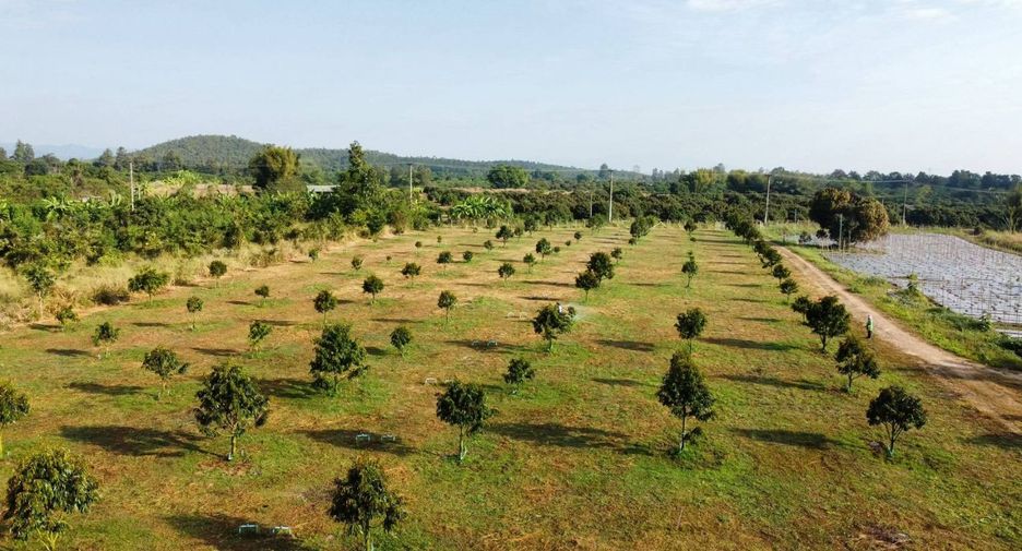 For sale land in Mae Wang, Chiang Mai