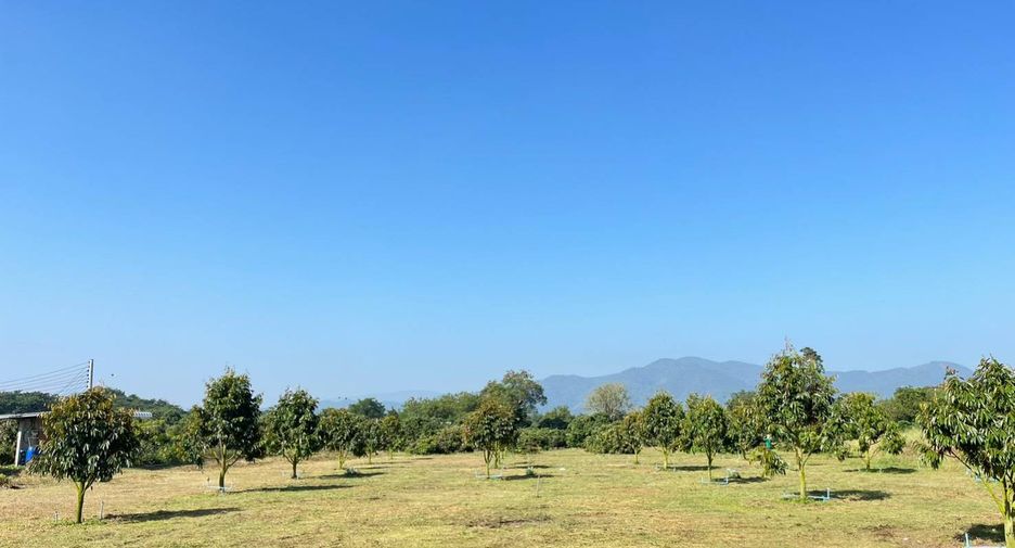 For sale land in Mae Wang, Chiang Mai