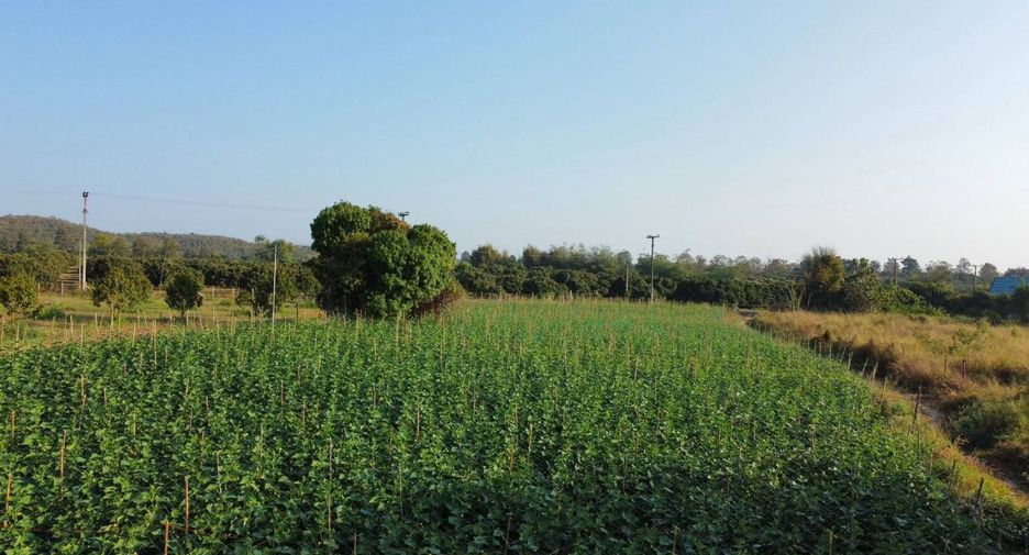 For sale land in Mae Wang, Chiang Mai