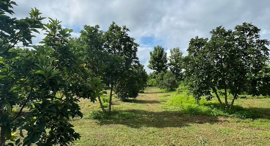 For sale land in Mae Wang, Chiang Mai