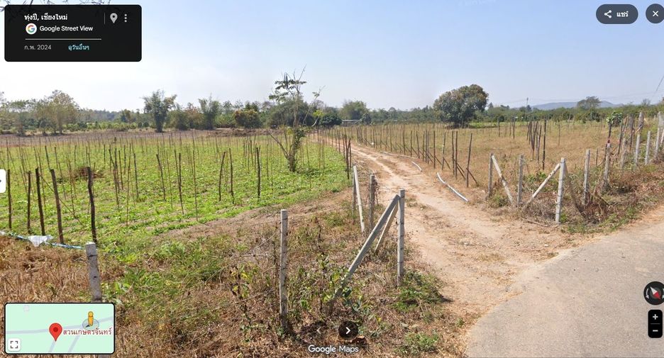 For sale land in Mae Wang, Chiang Mai