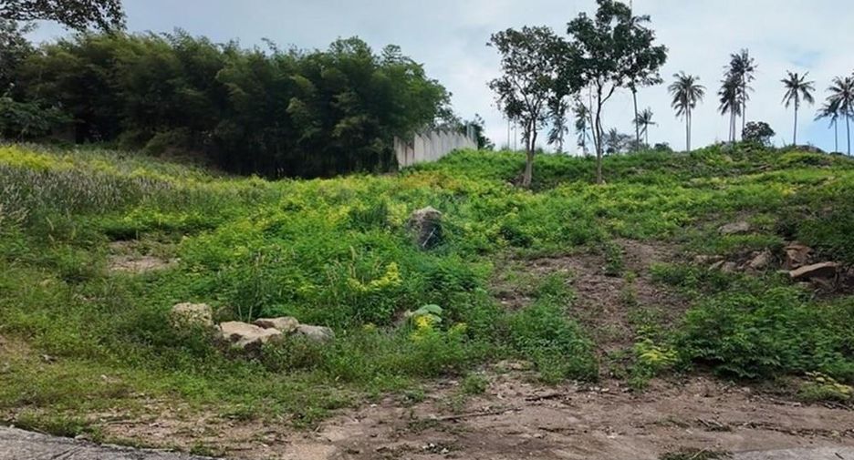 For sale land in Ko Samui, Surat Thani