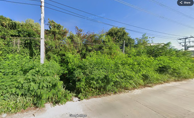 For sale land in Mueang Rayong, Rayong