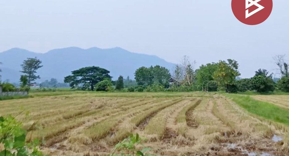 Grundstück zum Kauf in Thoeng, Chiang Rai