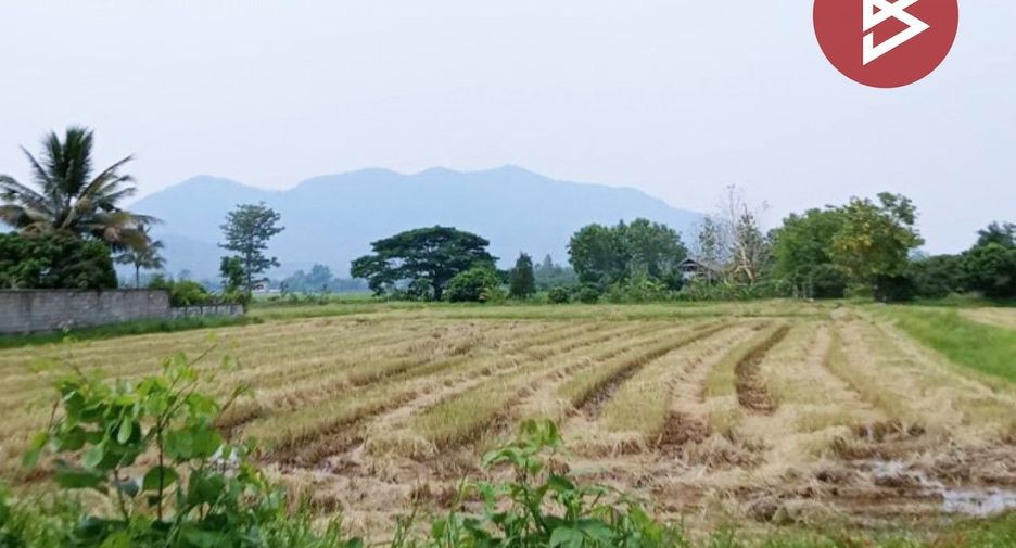 Grundstück zum Kauf in Thoeng, Chiang Rai