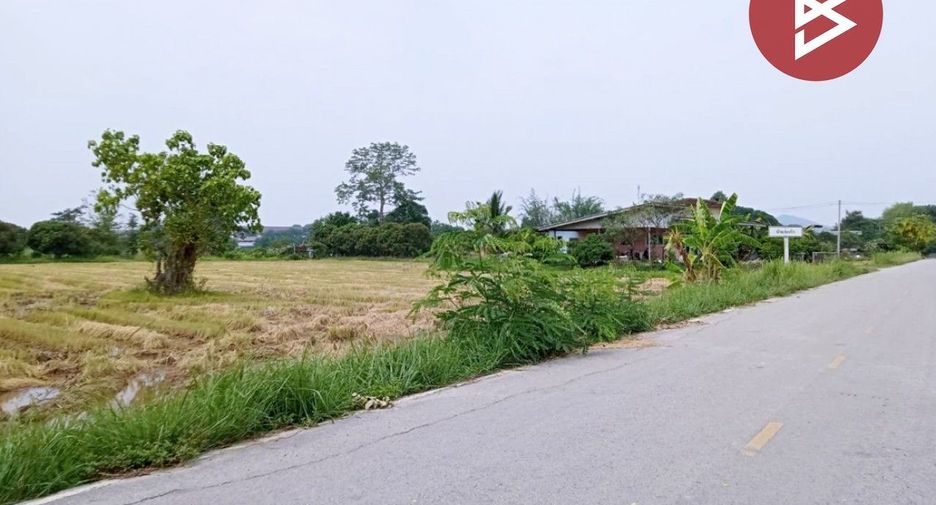 Grundstück zum Kauf in Thoeng, Chiang Rai