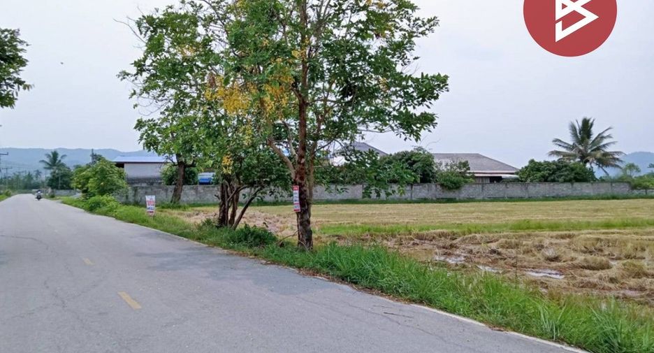 Grundstück zum Kauf in Thoeng, Chiang Rai