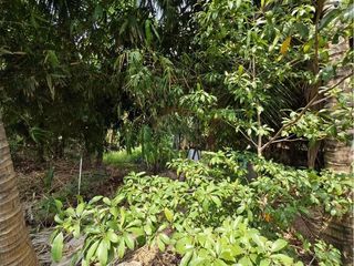 出售 土地 在 苏梅岛, 素叻