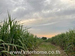 For sale land in Pak Kret, Nonthaburi
