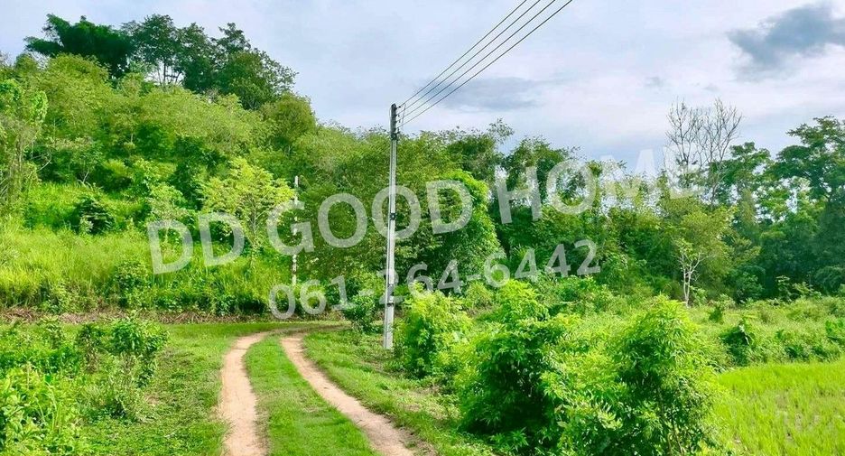 Grundstück zum Kauf in Phan, Chiang Rai