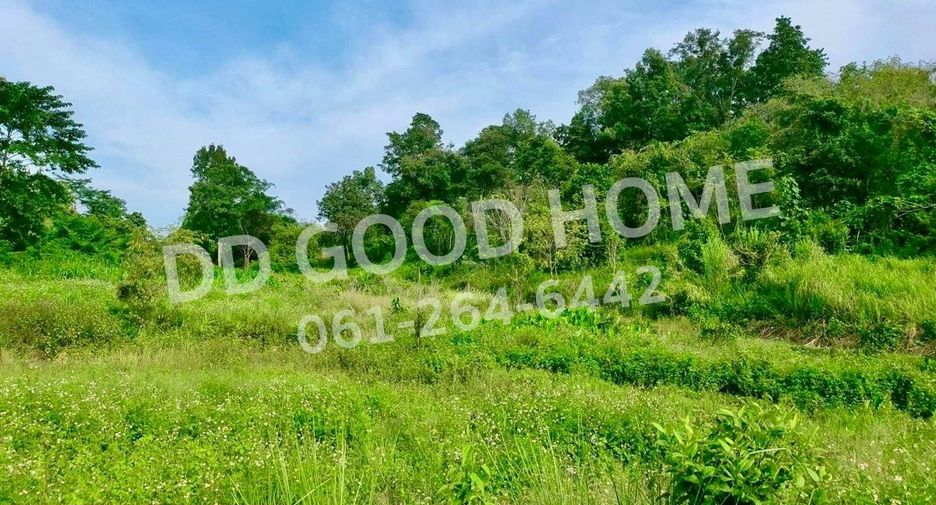 Grundstück zum Kauf in Phan, Chiang Rai