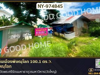 ขาย ที่ดิน ใน เมืองพิษณุโลก, พิษณุโลก