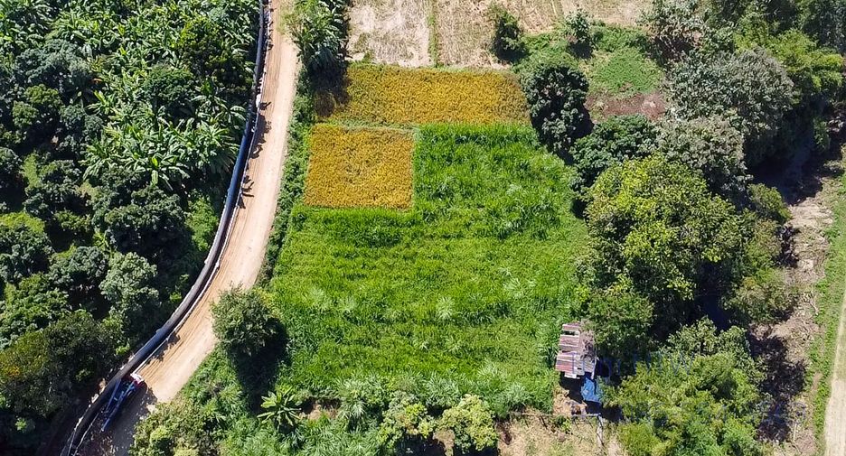For sale land in Mae On, Chiang Mai