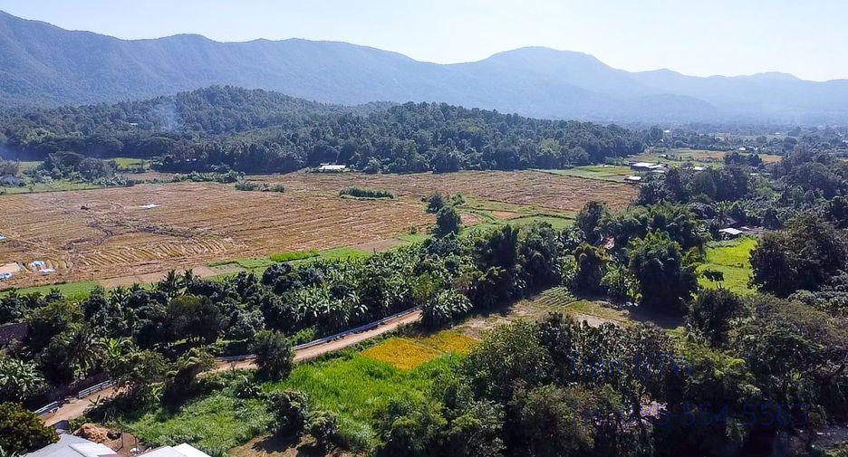 For sale land in Mae On, Chiang Mai