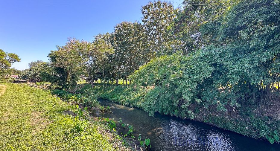 For sale land in Mae On, Chiang Mai