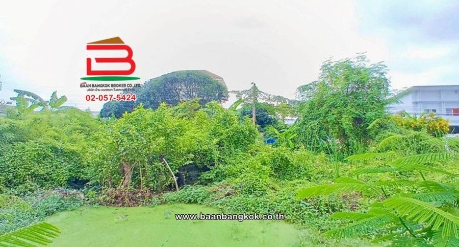 ขาย ที่ดิน ใน หนองแขม, กรุงเทพฯ