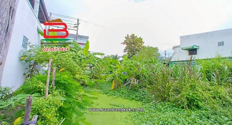 ขาย ที่ดิน ใน หนองแขม, กรุงเทพฯ