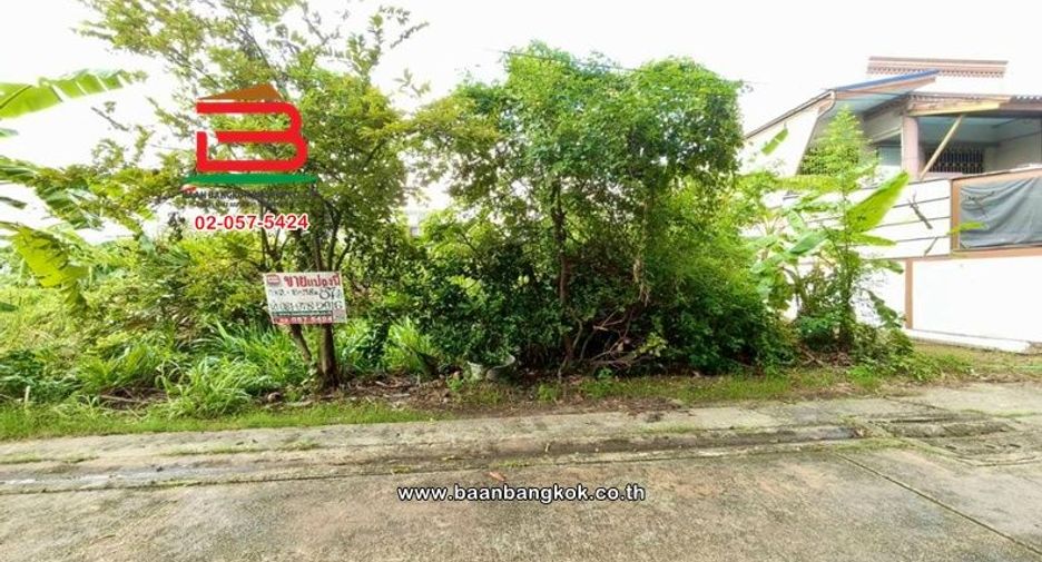 ขาย ที่ดิน ใน หนองแขม, กรุงเทพฯ