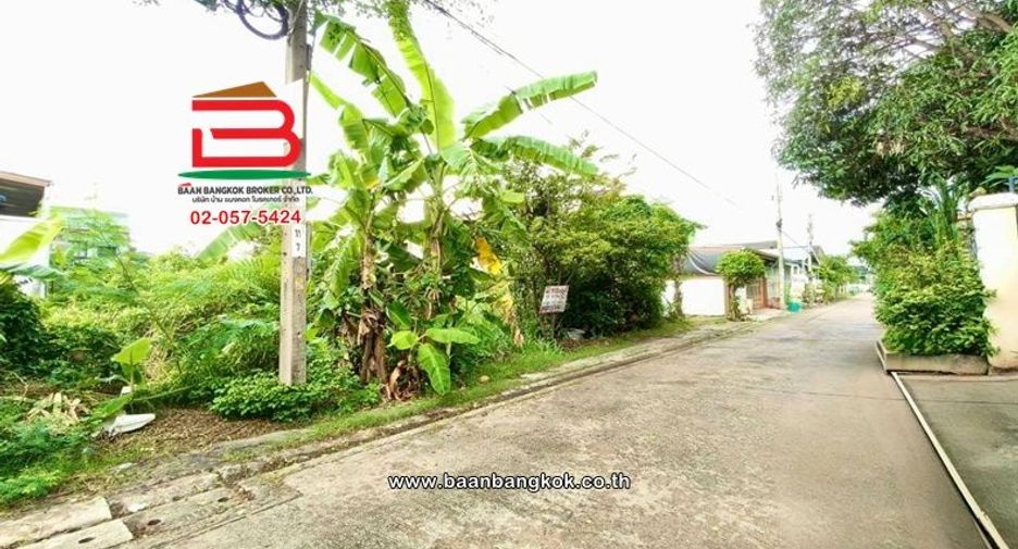 ขาย ที่ดิน ใน หนองแขม, กรุงเทพฯ