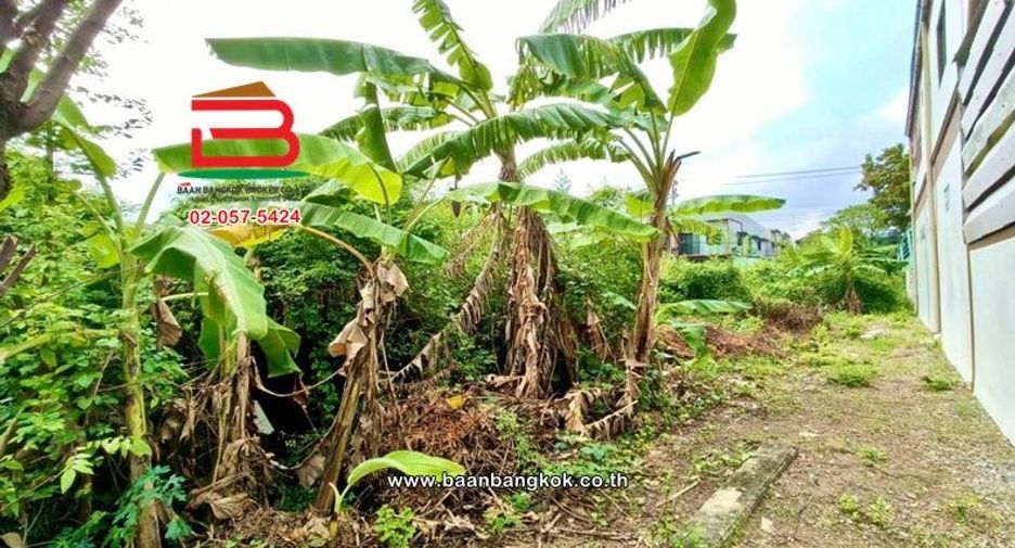 ขาย ที่ดิน ใน หนองแขม, กรุงเทพฯ