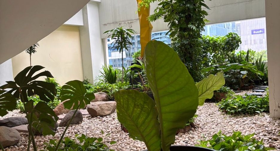 For rent 2 ベッドルーム serviced apartment in Pathum Wan, Bangkok